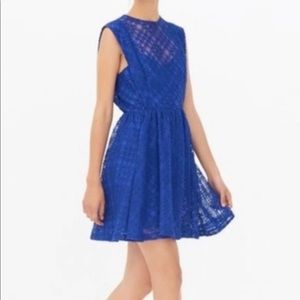 Sandro Royal Blue Mikka Lace Dress